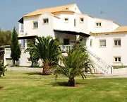 Corfu Sea Palm